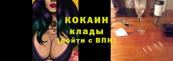 ГАЛЛЮЦИНОГЕННЫЕ ГРИБЫ Новозыбков