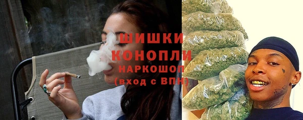 молекула духа Новодвинск