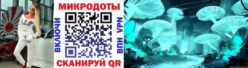 Псилоцибиновые грибы Cubensis дарк нет официальный сайт Нефтекумск